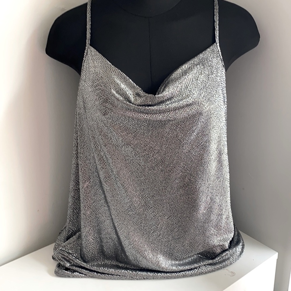 Sparkly Zara Dress